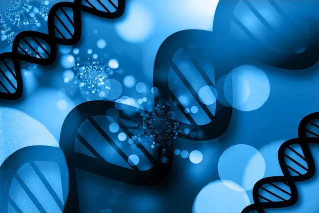 發(fā)泡胺催化劑a1在慢回彈海綿中的應(yīng)用,精確控制回彈時(shí)間和手感。